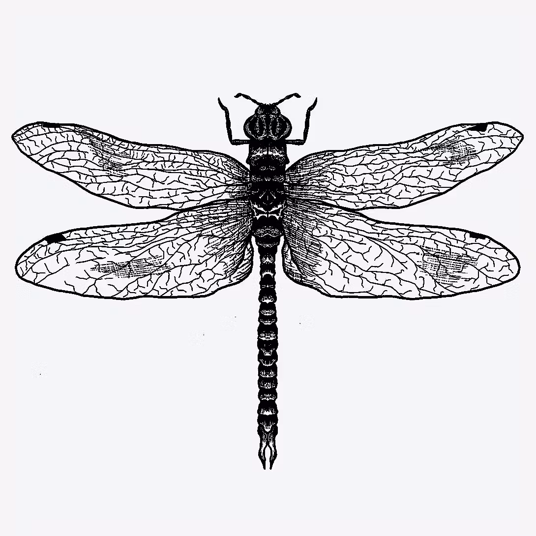 5 SETqEhIlzoQryjFLee2kDyn4beVQy8 tattoo design