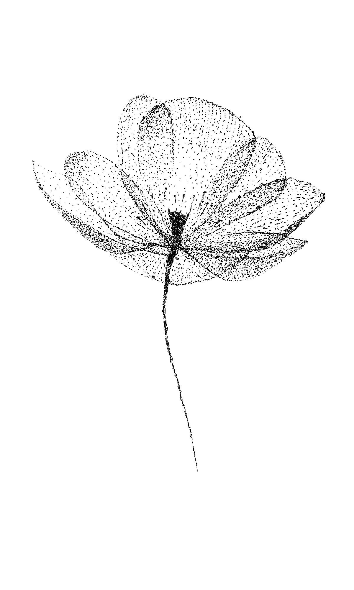 3362fab3998990d7a91d11d6a156342e DL4mLI94eNNhyoMOneynljlUFMX9eu K76IcfVWXKCAhbPlHPuWaD41V07CNL tattoo design